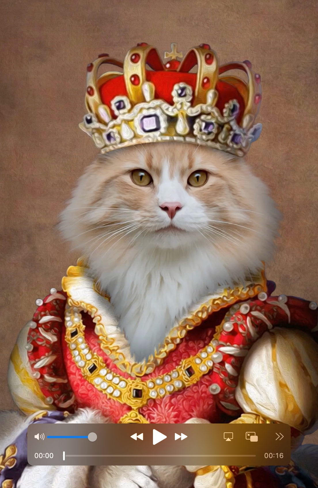 Vidéo personnalisée : surprenez un proche avec un montage unique de son animal