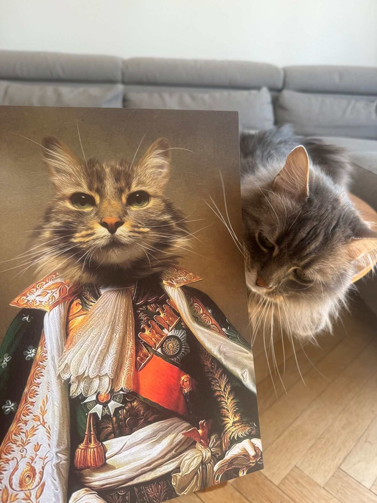 Quelle est la meilleure peinture pour les chats ?