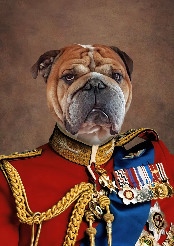 Portrait de bouledogue : quand le roi du canapé devient roi tout court