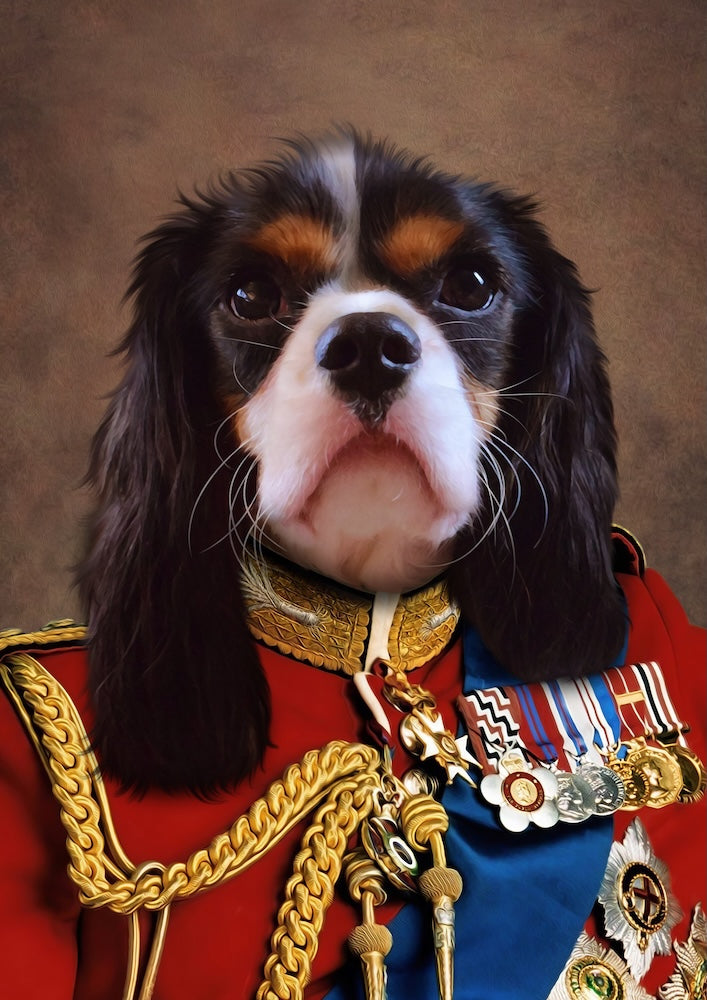 Portrait Cavalier King Charles : le roi du canapé mérite bien son trône au mur