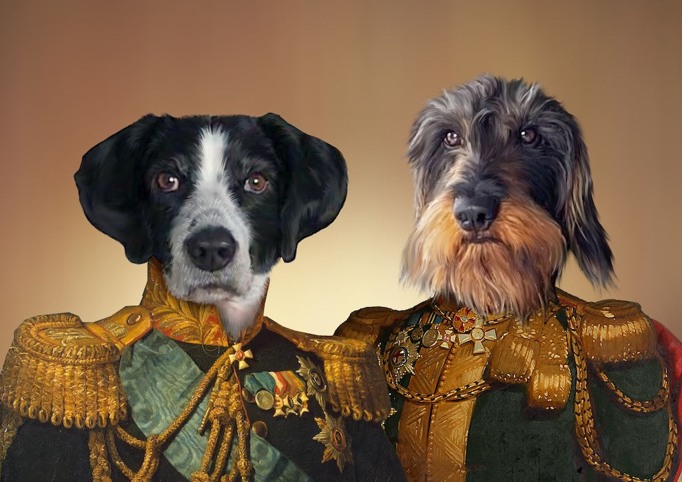 Créez une galerie murale dédiée à vos animaux de compagnie : nos astuces.