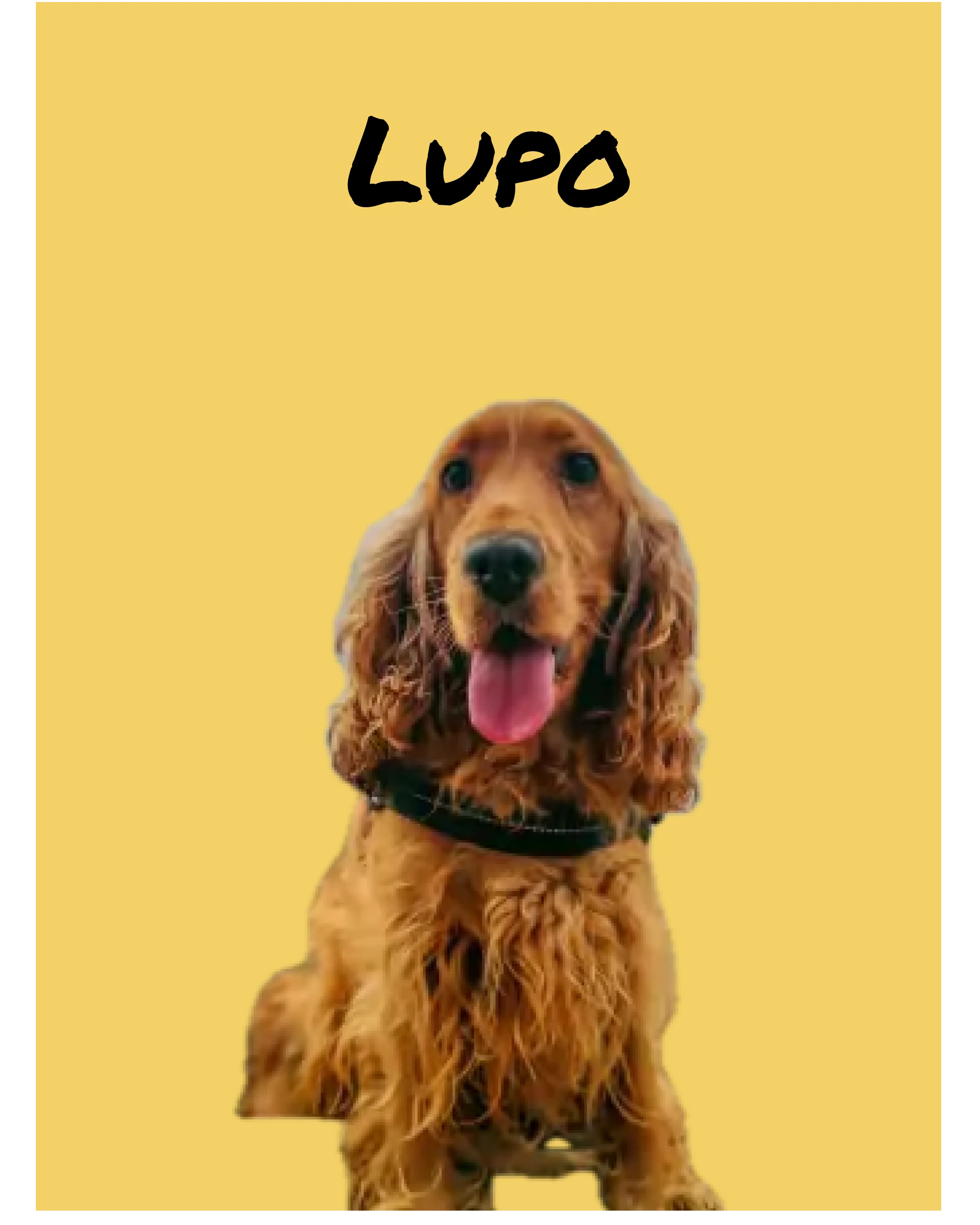 Portrait moderne de chien sur toile personnalisée, fond jaune, idéal pour déco intérieure élégante et affective.