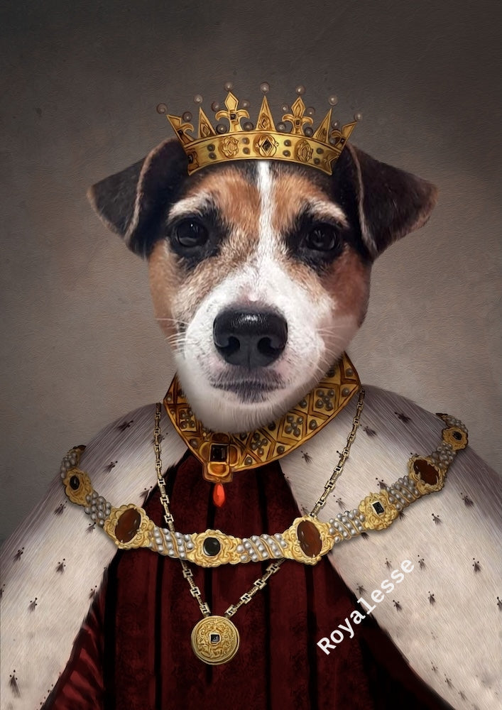 jack-russel