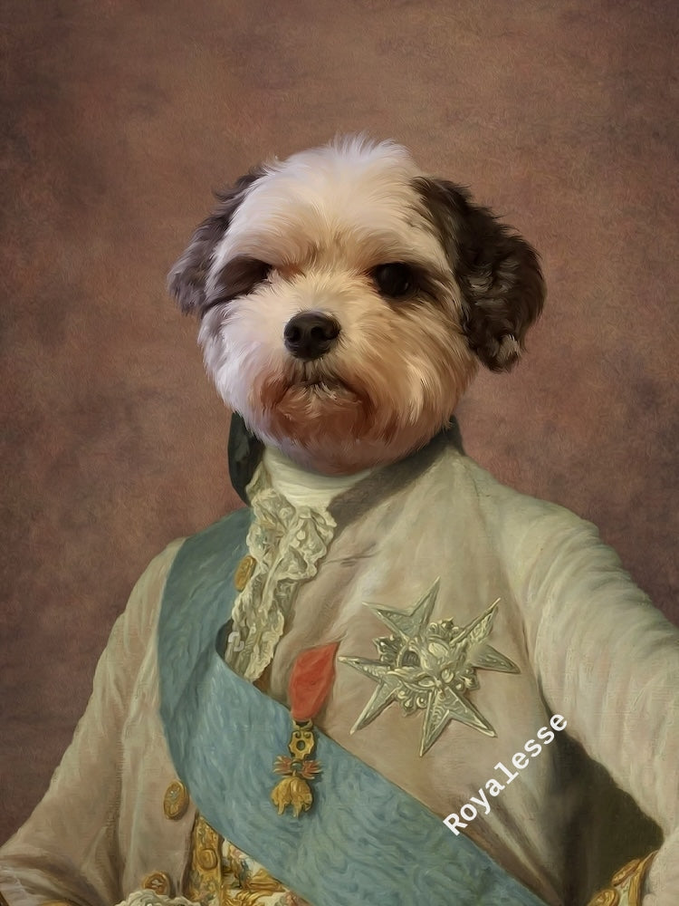shih-tzu