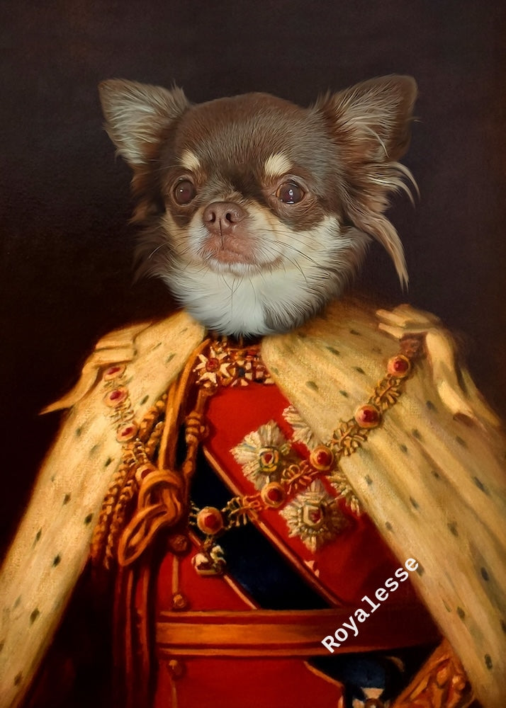 chihuahua