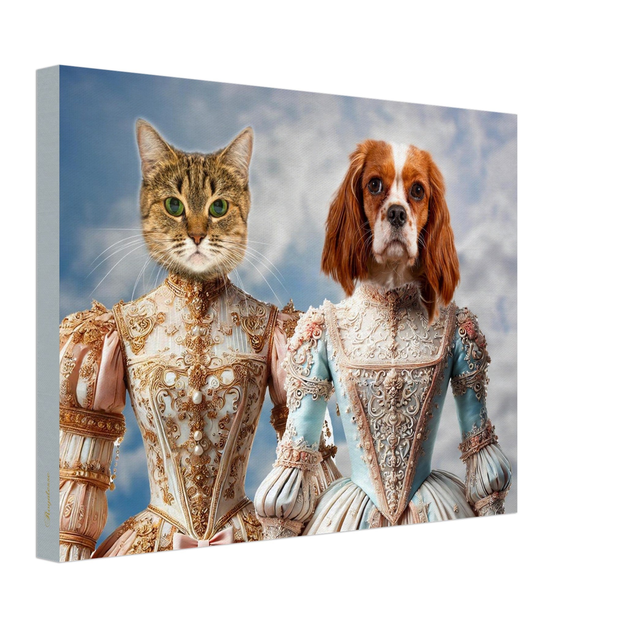 Portrait de chat tigré et de chien Cavalier King Charles vêtus de somptueuses robes baroques brodées, sur fond de ciel nuageux.