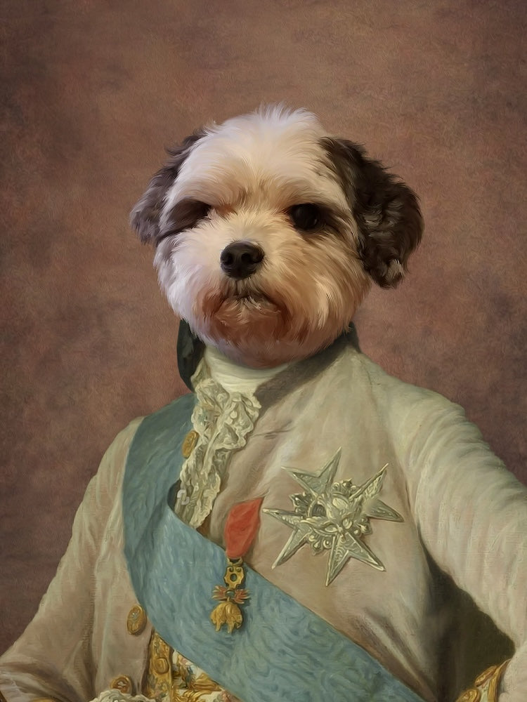 shih-tzu