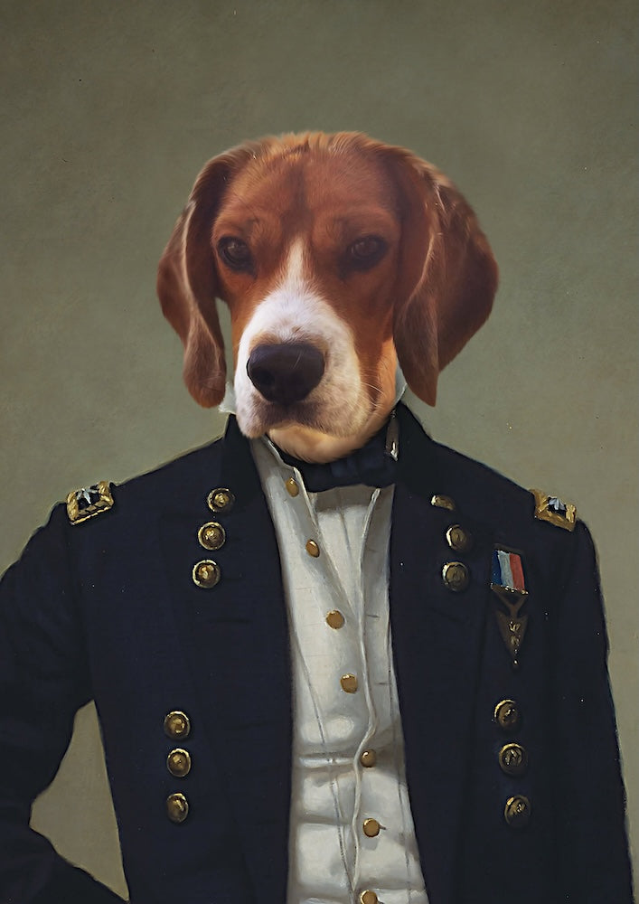 beagle
