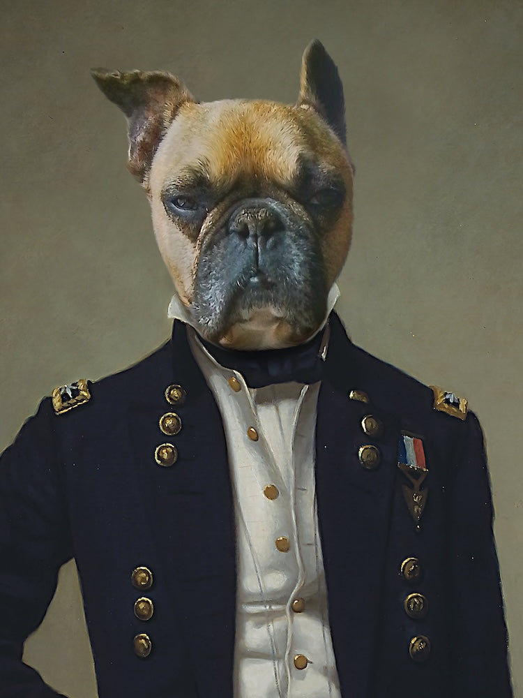 bouledogue