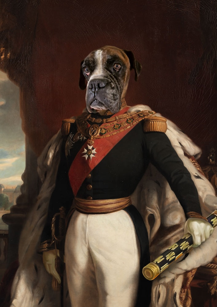 boxer
