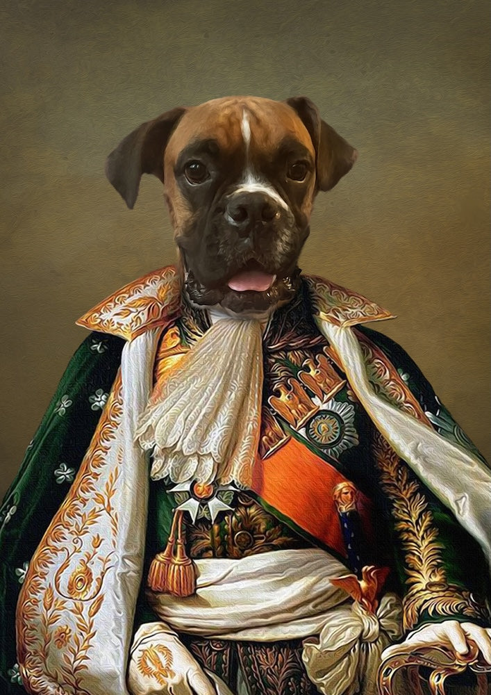 boxer