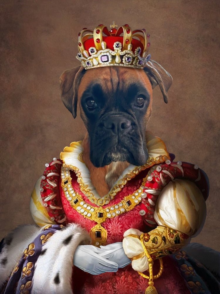boxer