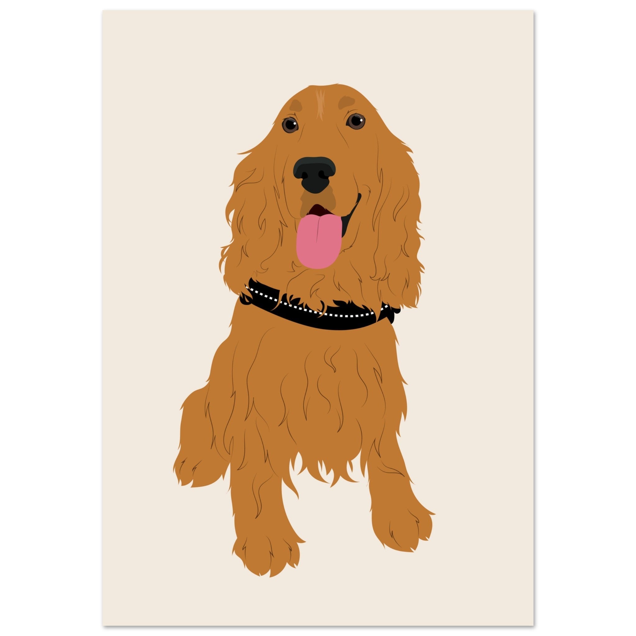 Chien à poil long caramel assis sur fond crème, collier noir à rivets blancs et langue rose pendante