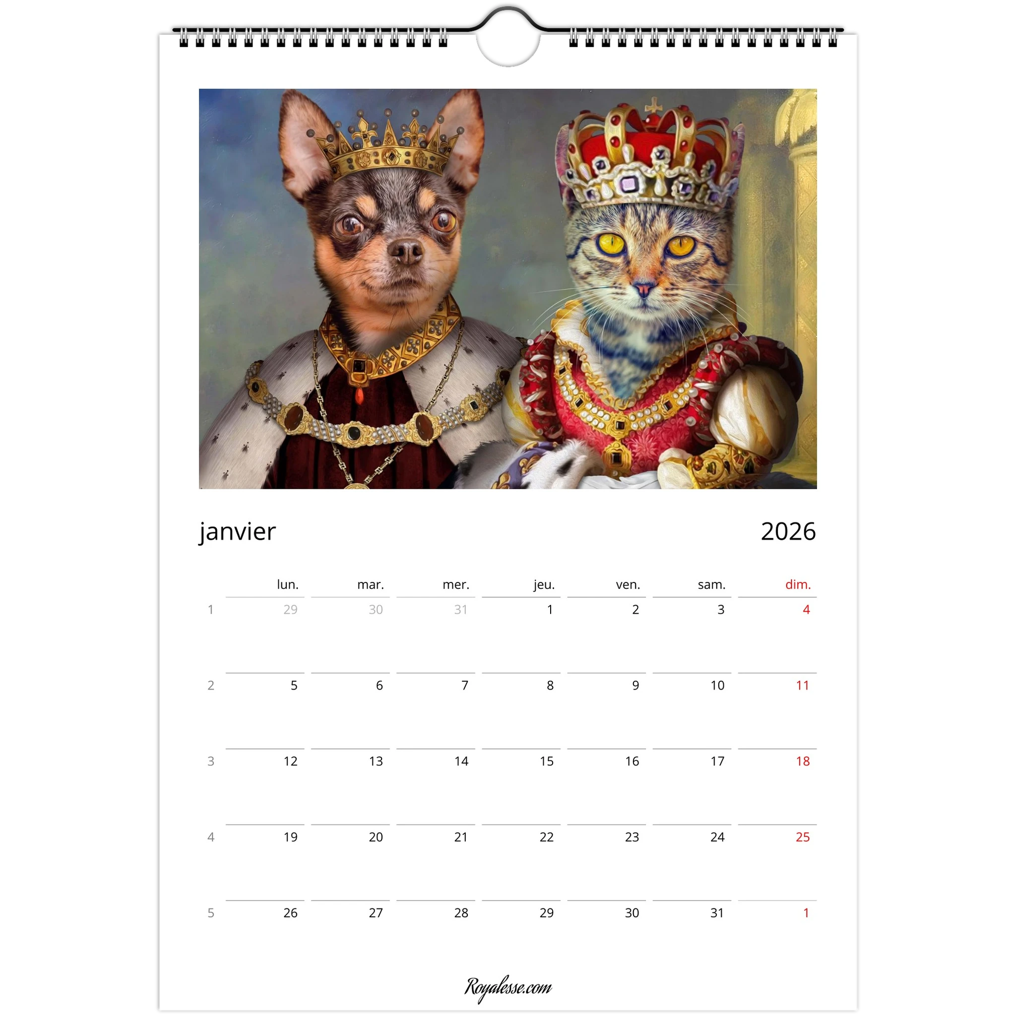 Page de calendrier janvier 2026 présentant un portrait d’un chihuahua et d’un chat vêtus en roi et reine, couronnes dorées et tenues royales ornées de bijoux.