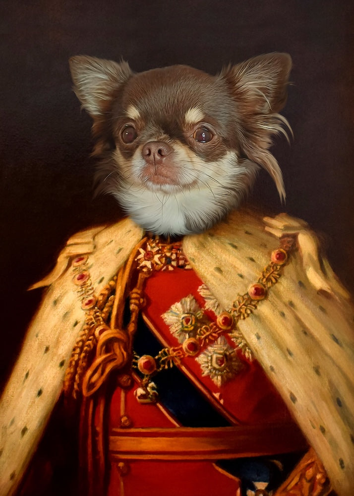 chihuahua