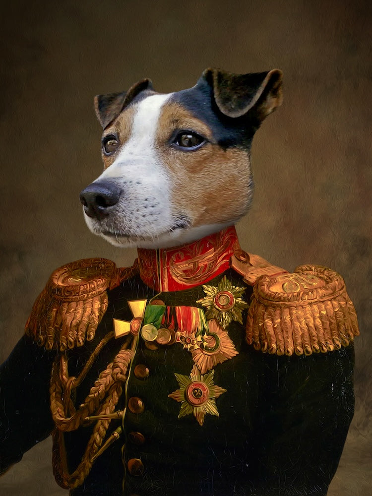 jack-russel