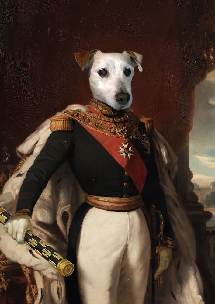 jack-russel