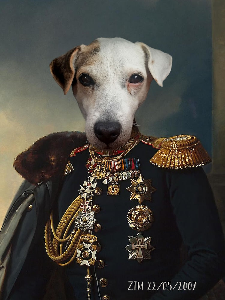 jack-russel