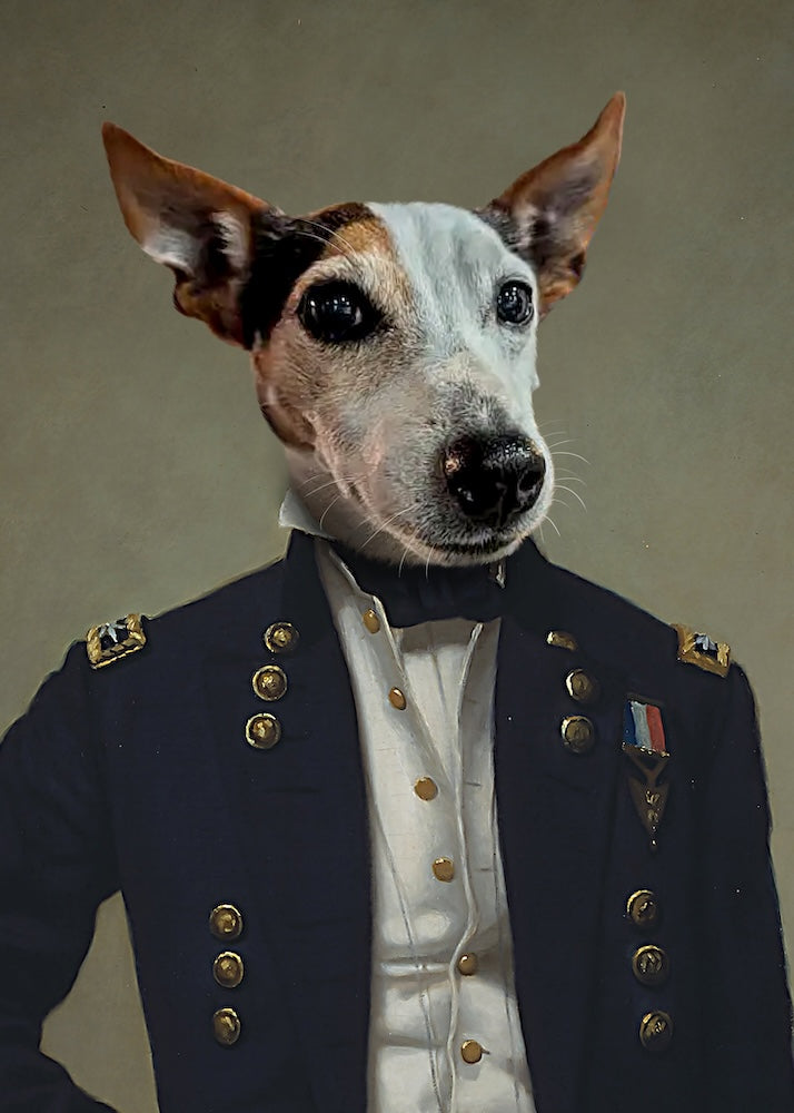 jack-russel