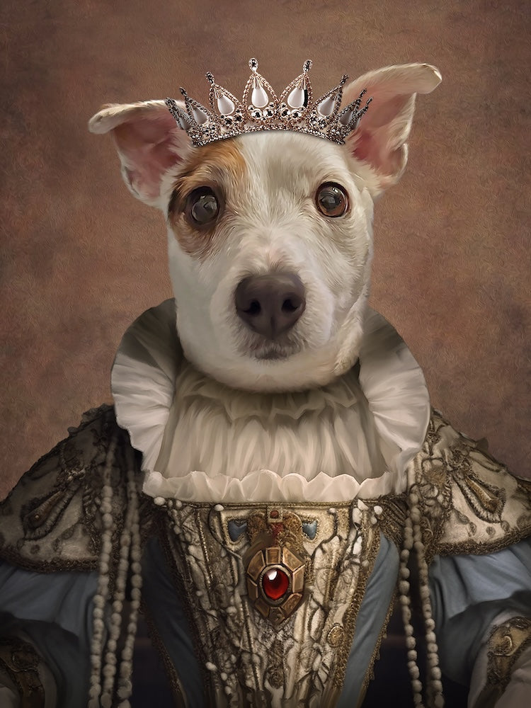 jack-russel