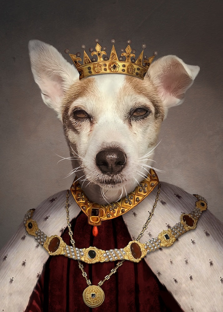 jack-russel