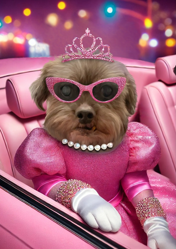 shih-tzu