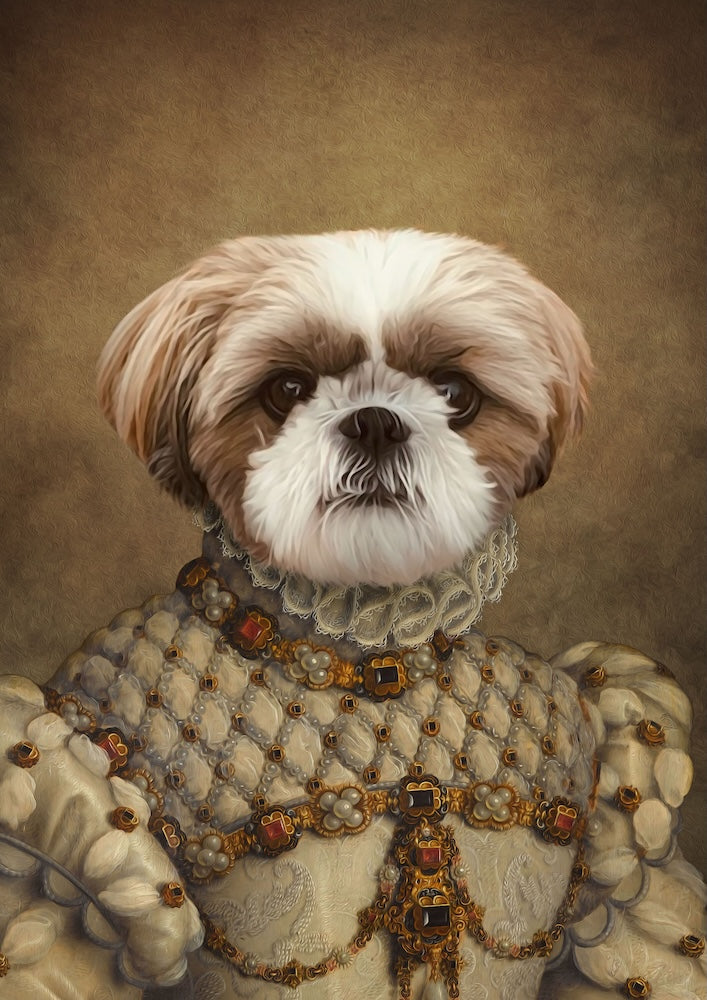shih-tzu