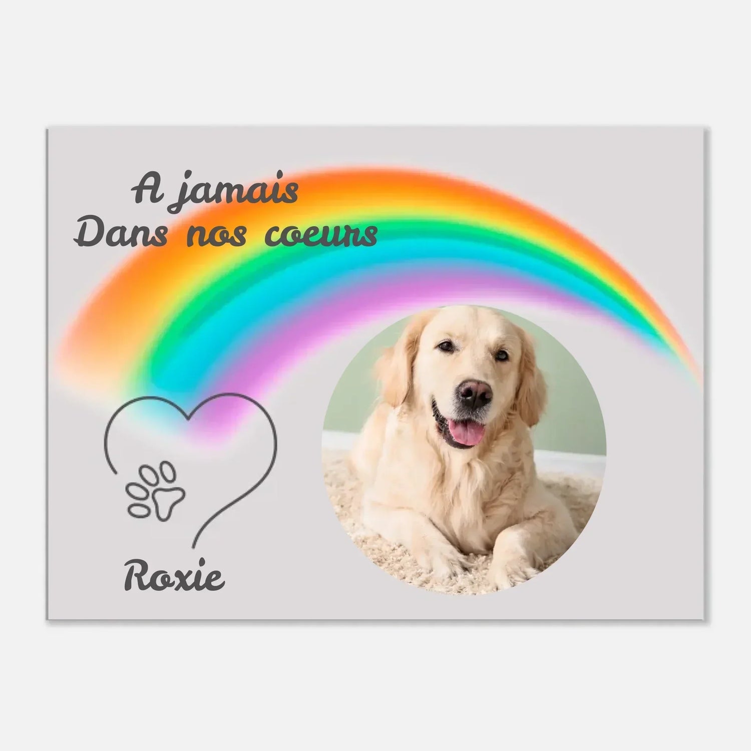 Paradis des animaux : 7 croyances sur l'au-delà de nos compagnons