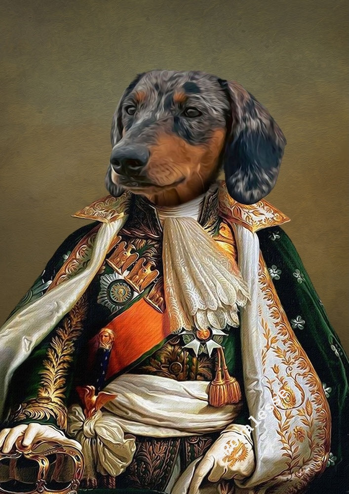 Portrait Teckel : la noblesse sur pattes… version basse !