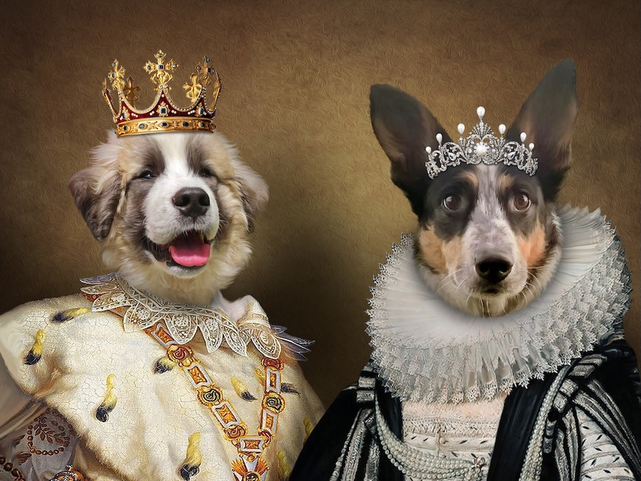 Top 10 des plus belles citations sur les animaux