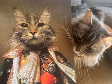 meilleures ventes de portraits de chien ou chat