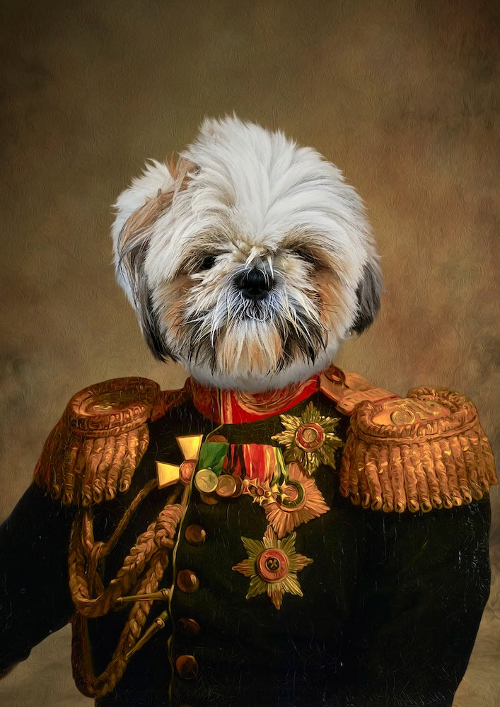 30 portraits personnalisés de Shih Tzu