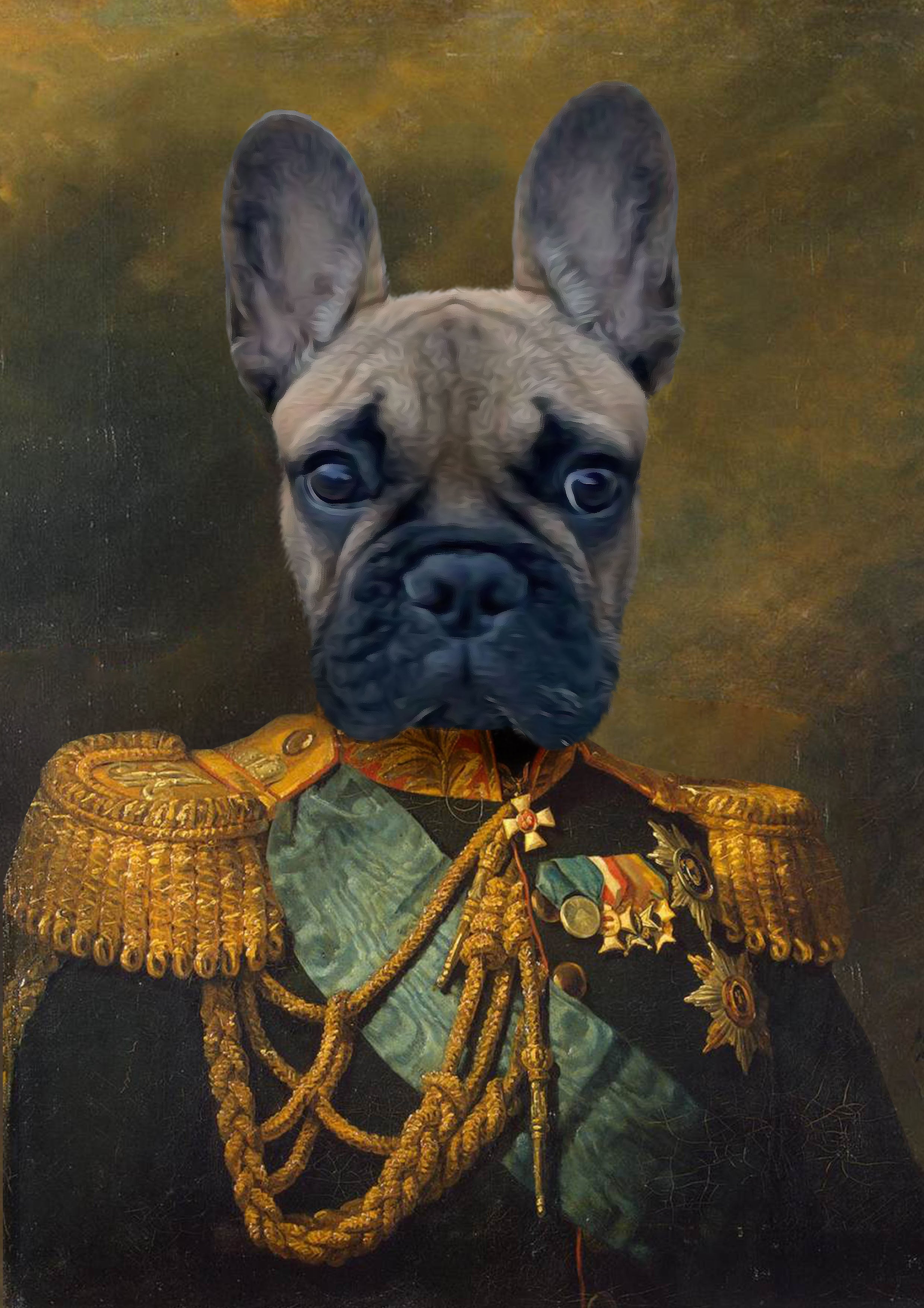 bouledogue