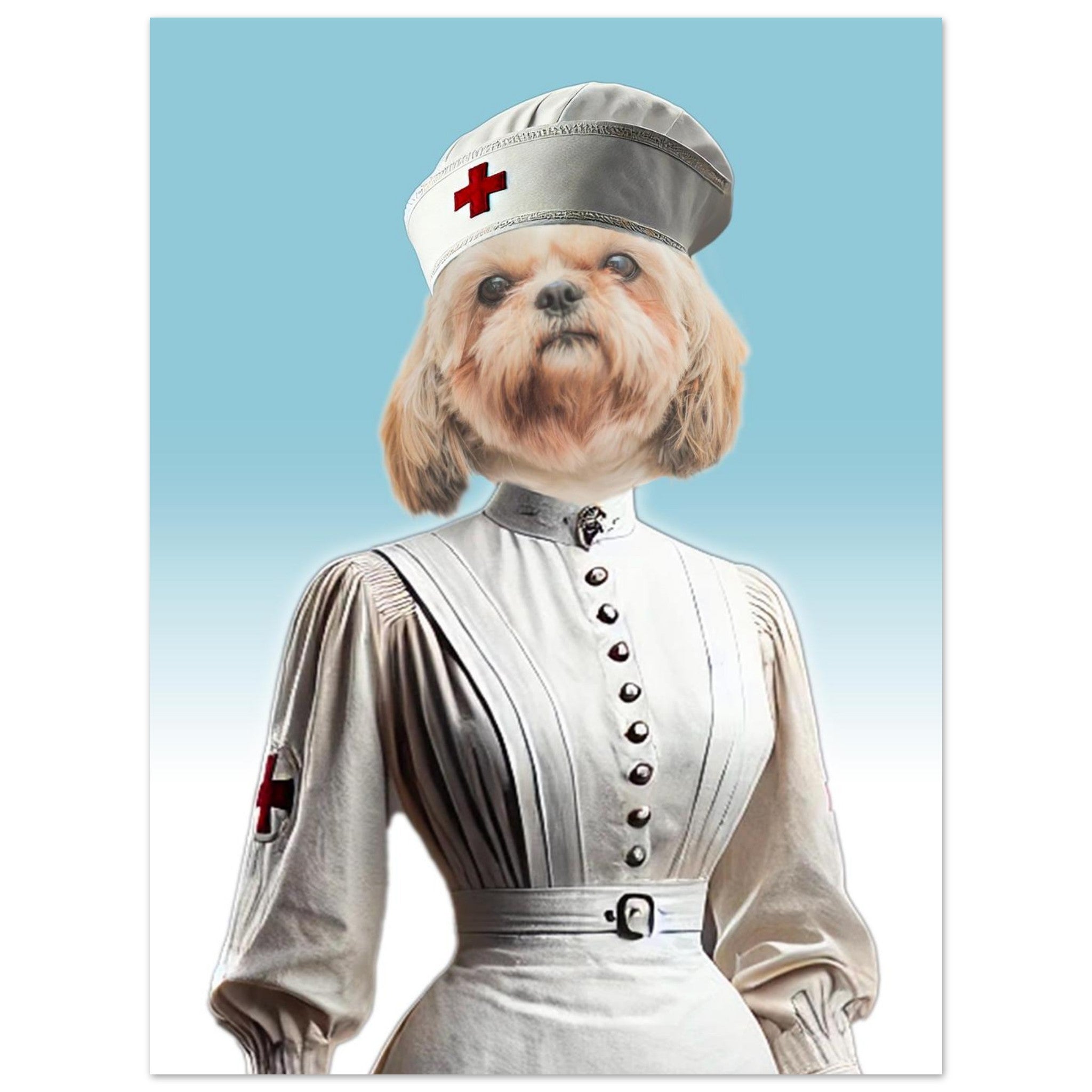 Chien Shih Tzu headshot sur un buste habillé en infirmière vintage, uniforme blanc à boutons métalliques et croix rouge sur la coiffe et la manche, sur fond dégradé bleu clair.