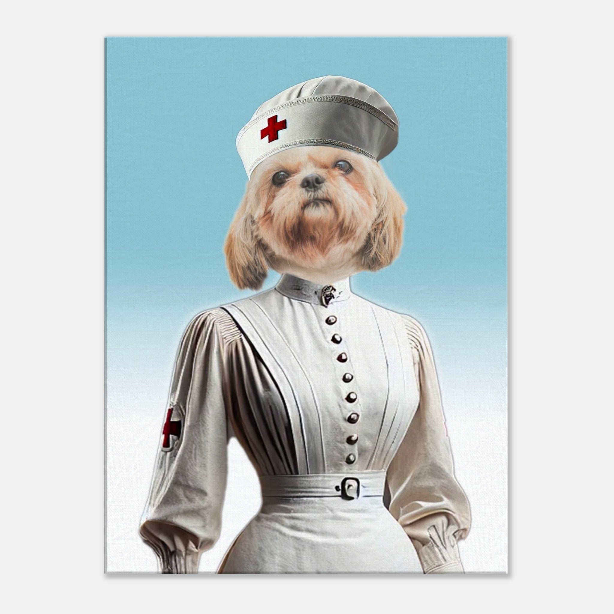 Chienne Shih Tzu vêtue d’un uniforme d’infirmière vintage blanc à col montant et boutons, coiffe et brassard à croix rouge, sur fond bleu clair.