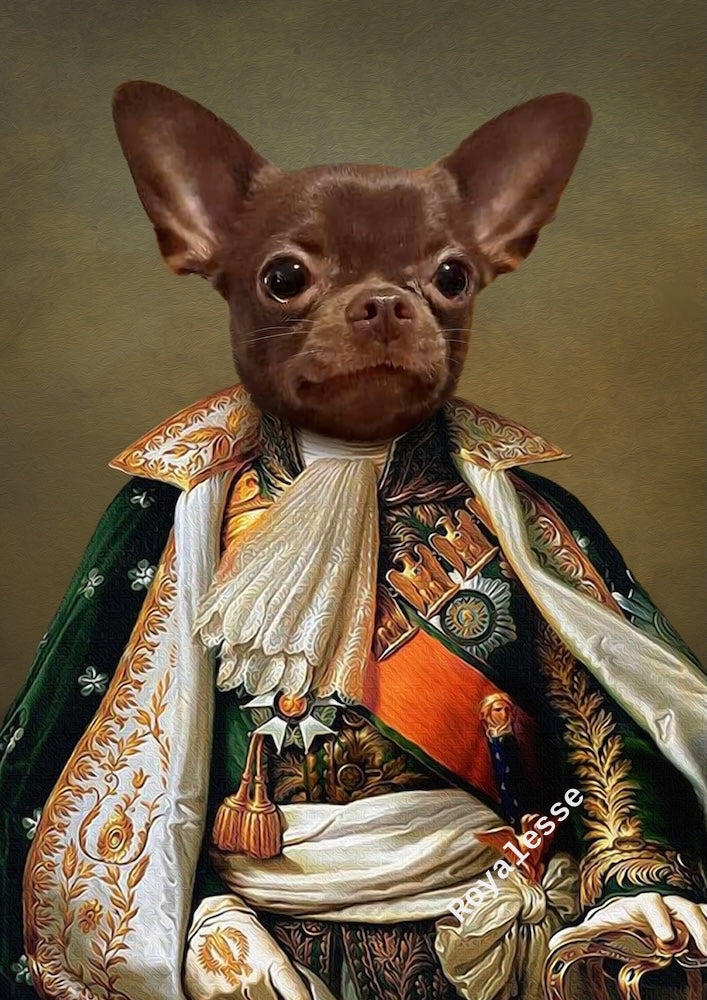 chihuahua