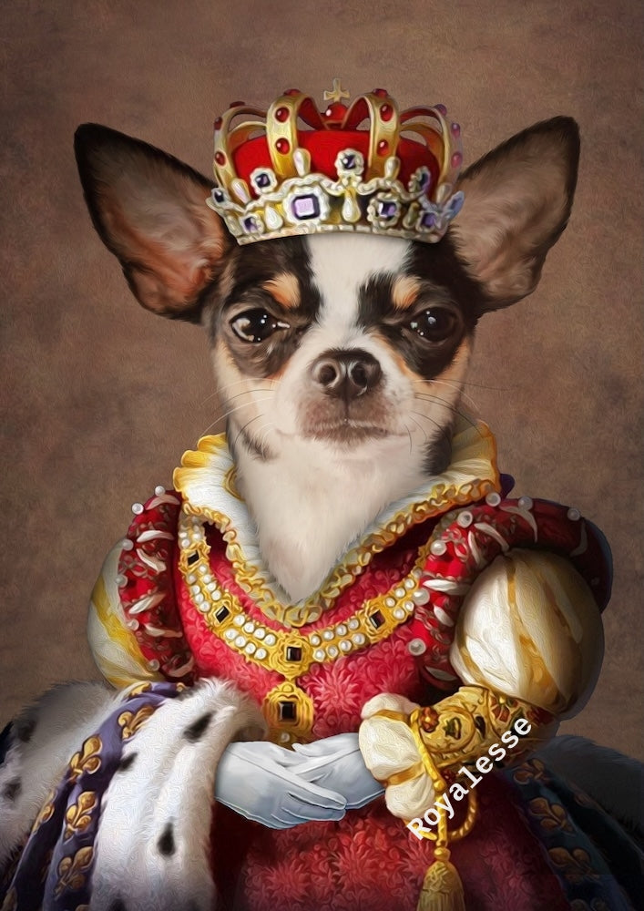 chihuahua