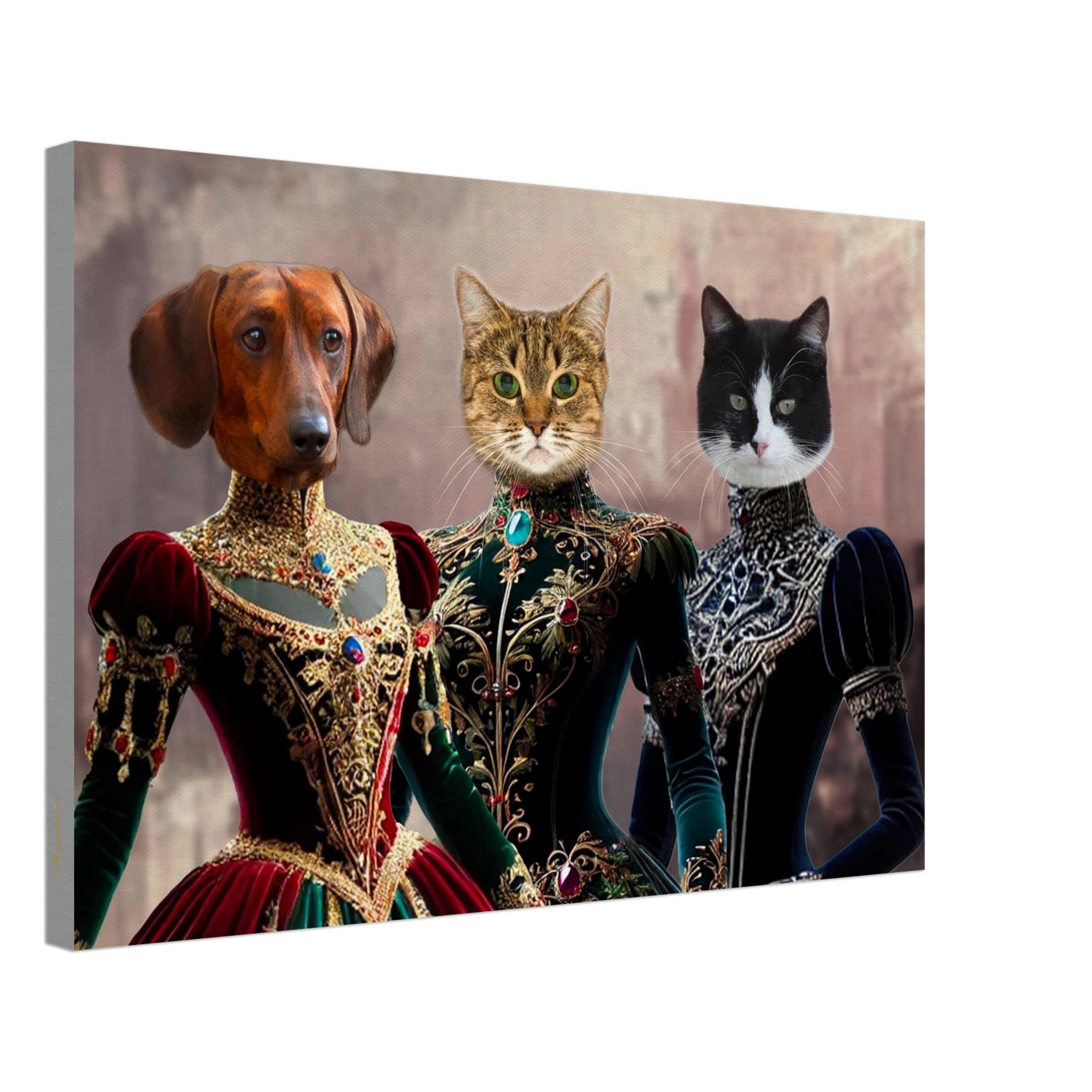 Chien teckel brun, chat tigré et chat noir et blanc portant des robes Renaissance en velours richement brodées de fils d’or et ornées de pierres précieuses sur fond neutre