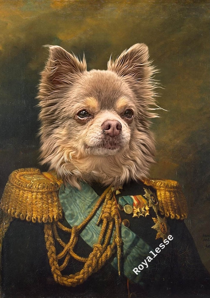 chihuahua