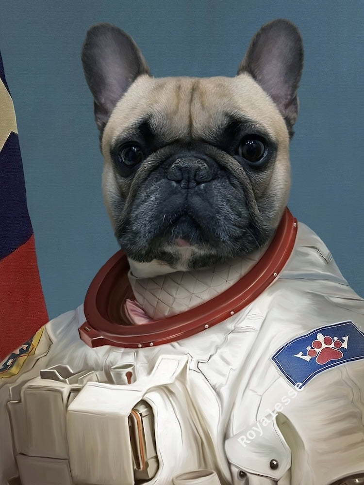 bouledogue