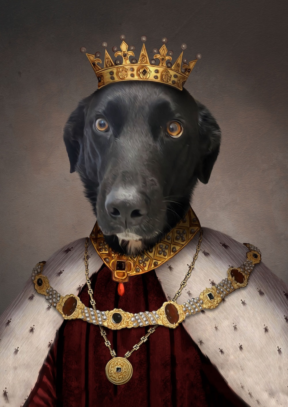 labrador