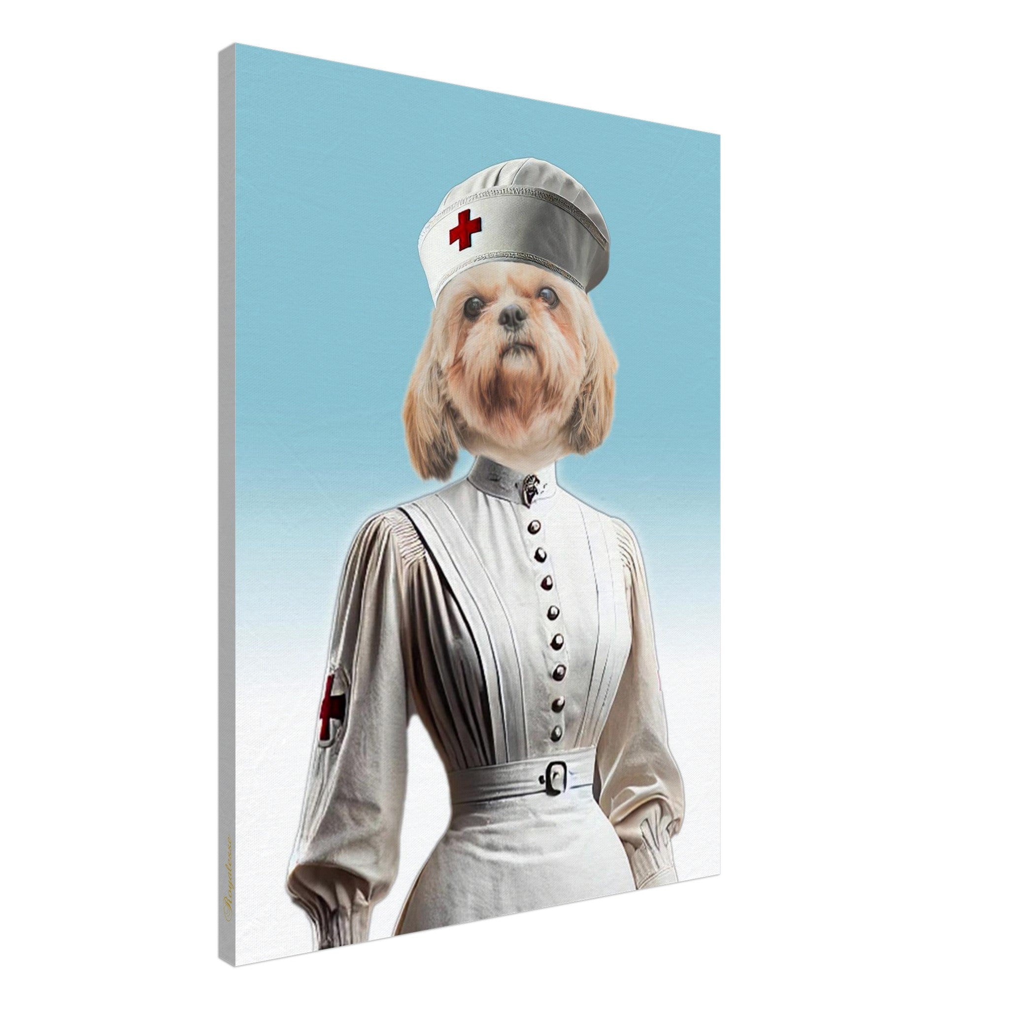 Petit chien à poil long déguisé en infirmière d’époque, portant une robe blanche boutonnée avec ceinture et une coiffe à croix rouge sur fond bleu clair