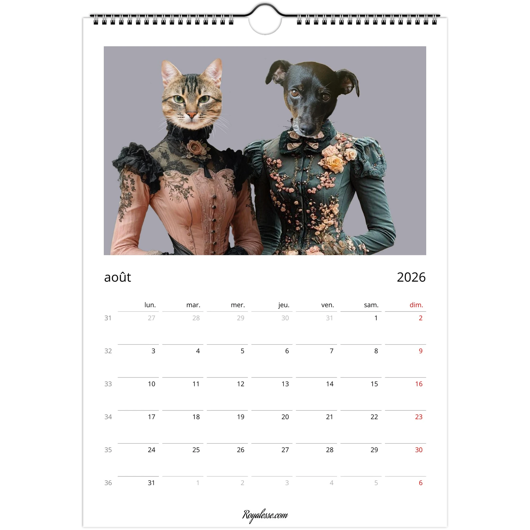Page d’août 2026 d’un calendrier mural : deux figures anthropomorphes – tête de chat tigré sur un buste en robe victorienne rose et tête de chien noir sur un buste en robe victorienne verte à fleurs – au-dessus d’une grille de calendrier en français avec les dimanches en rouge.