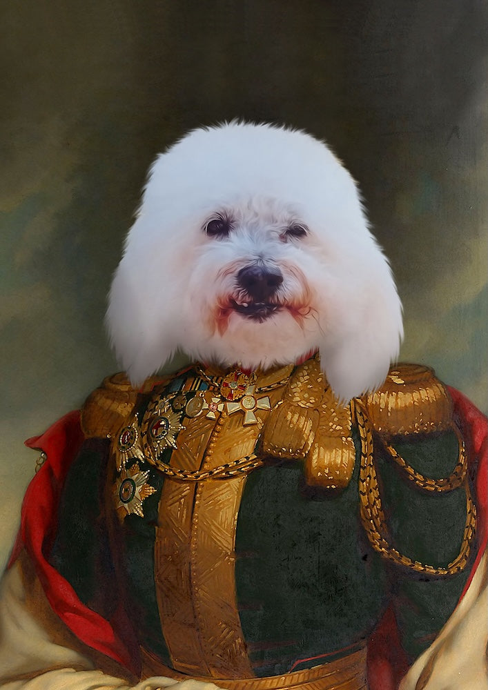 bichon