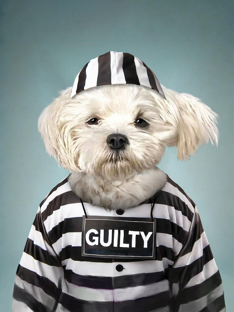 bichon