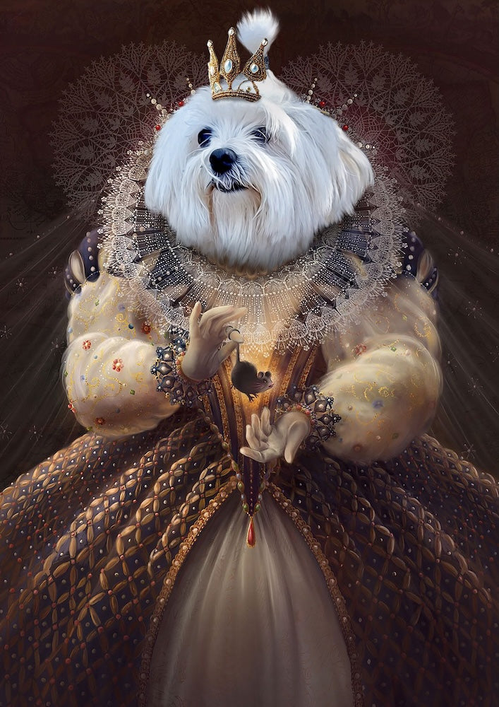 bichon