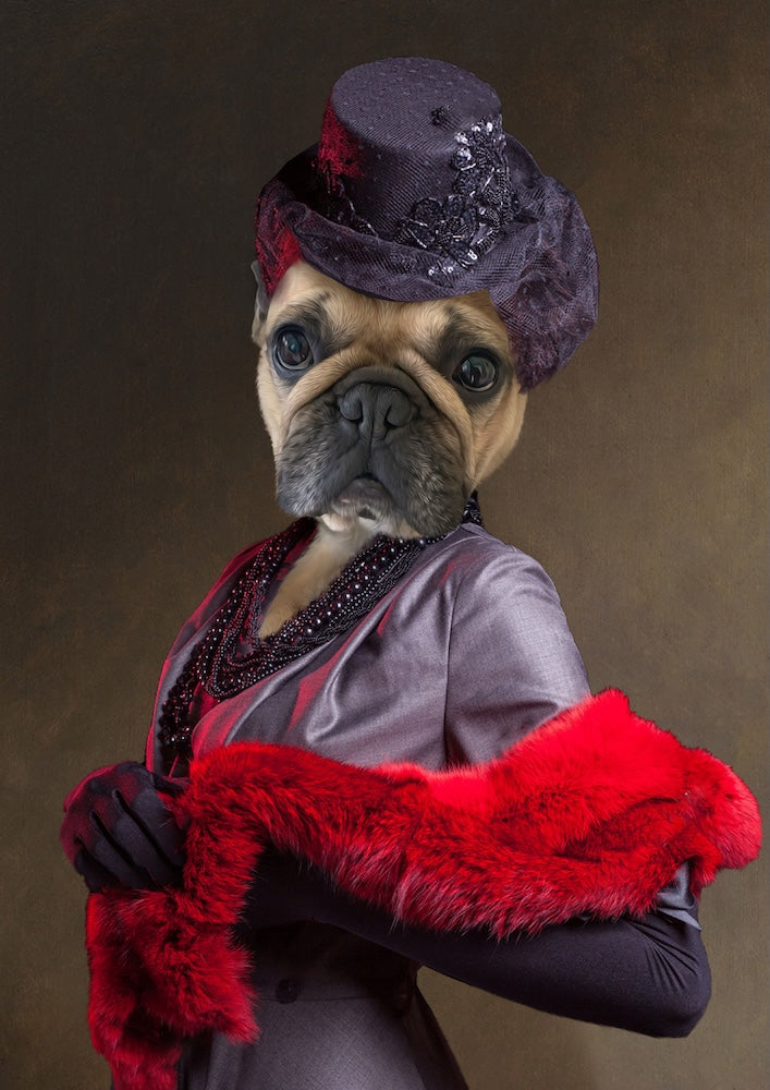 bouledogue