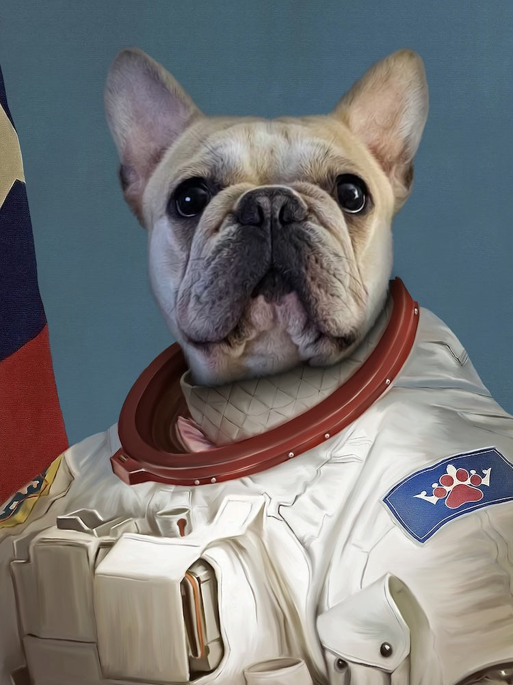 bouledogue