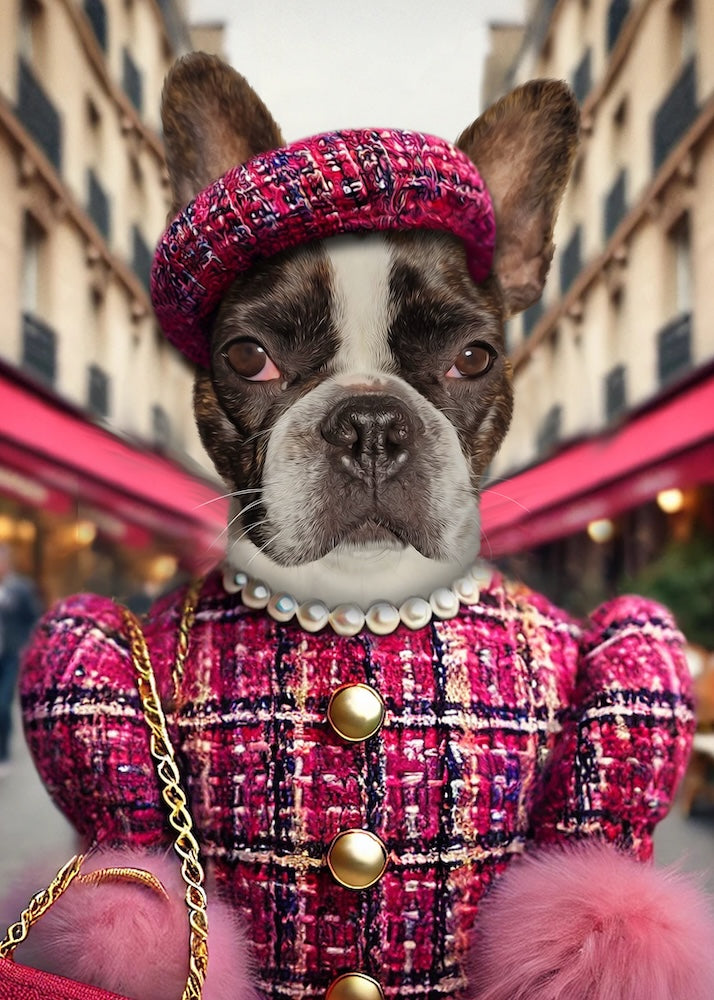 bouledogue