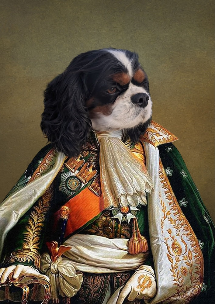 cavalier-king-charles